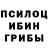 Псилоцибиновые грибы мицелий YUNG CERTIFIED