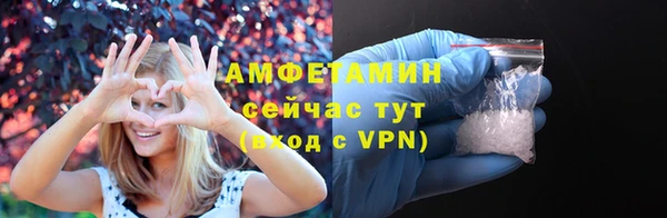 молекула духа Алексеевка