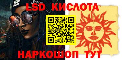 стафф Гатчина