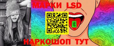 стафф Гатчина
