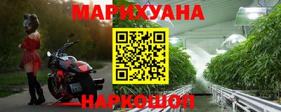 стафф Гатчина
