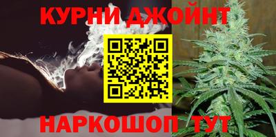 стафф Гатчина