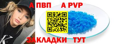 ECSTASY Гай