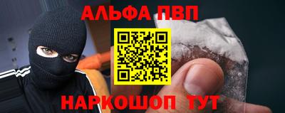 стафф Гатчина