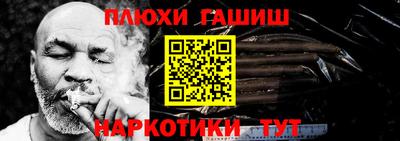 стафф Гатчина