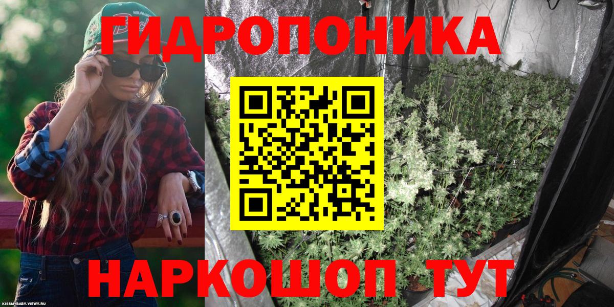 Бошки Шишки MAZAR Ступино